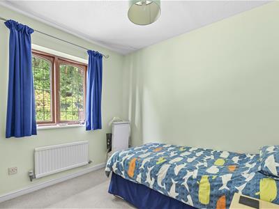 Picture 13